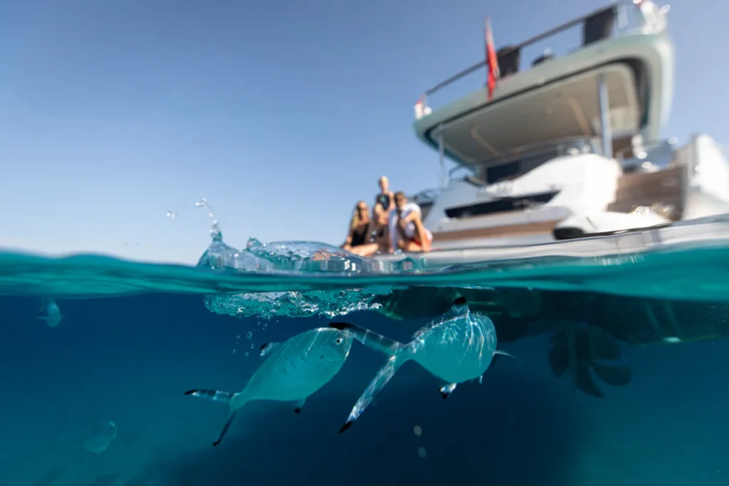 Vissen die aan het zwemmen zei met een yacht van Blue Lobster Yachts op de achtergrond.